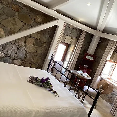 Hotel Sonef House