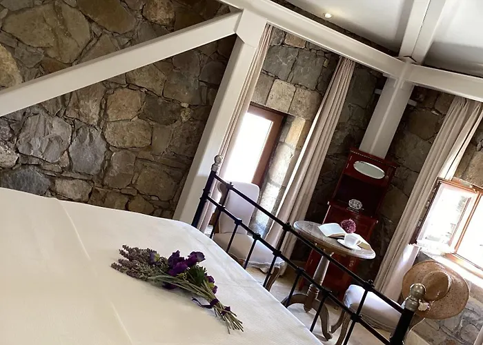 Отель Sonef House