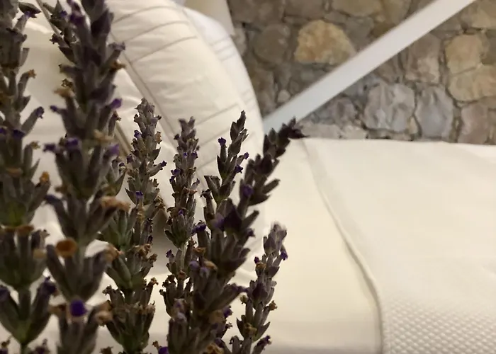 Sonef House * Бозджаада