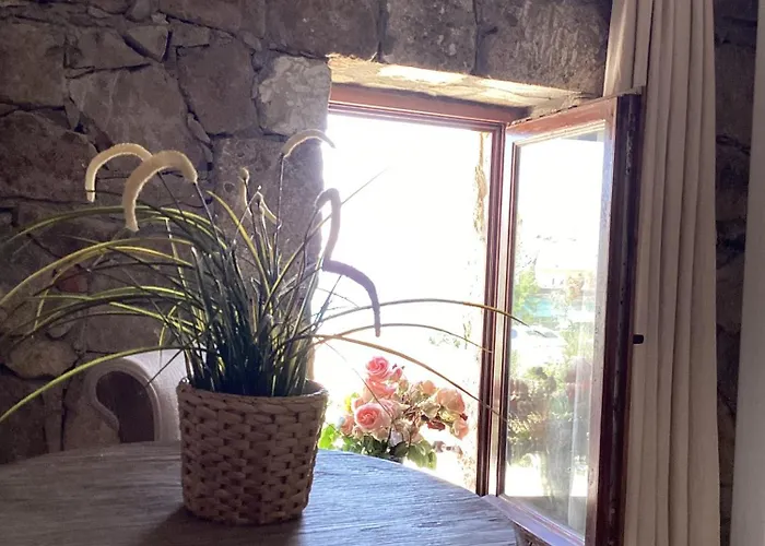 Отель Sonef House