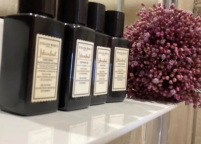 Отель Sonef House *